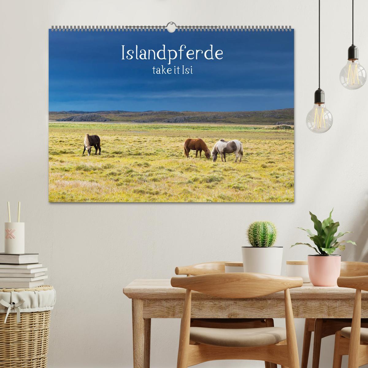 Bild: 9783435272105 | Islandpferde take it Isi (Wandkalender 2025 DIN A2 quer), CALVENDO...