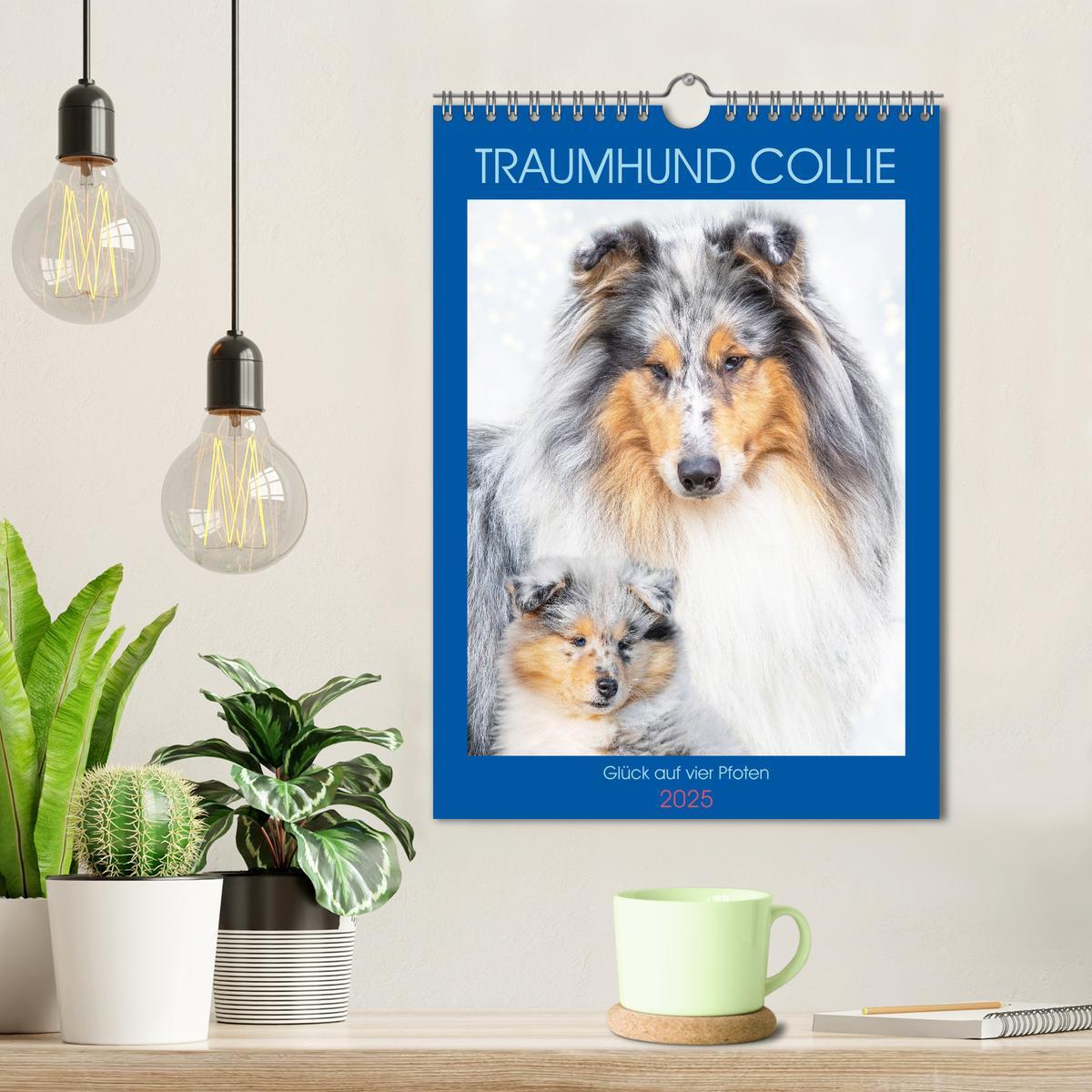 Bild: 9783435887798 | Traumhund Collie - Glück auf vier Pfoten (Wandkalender 2025 DIN A4...