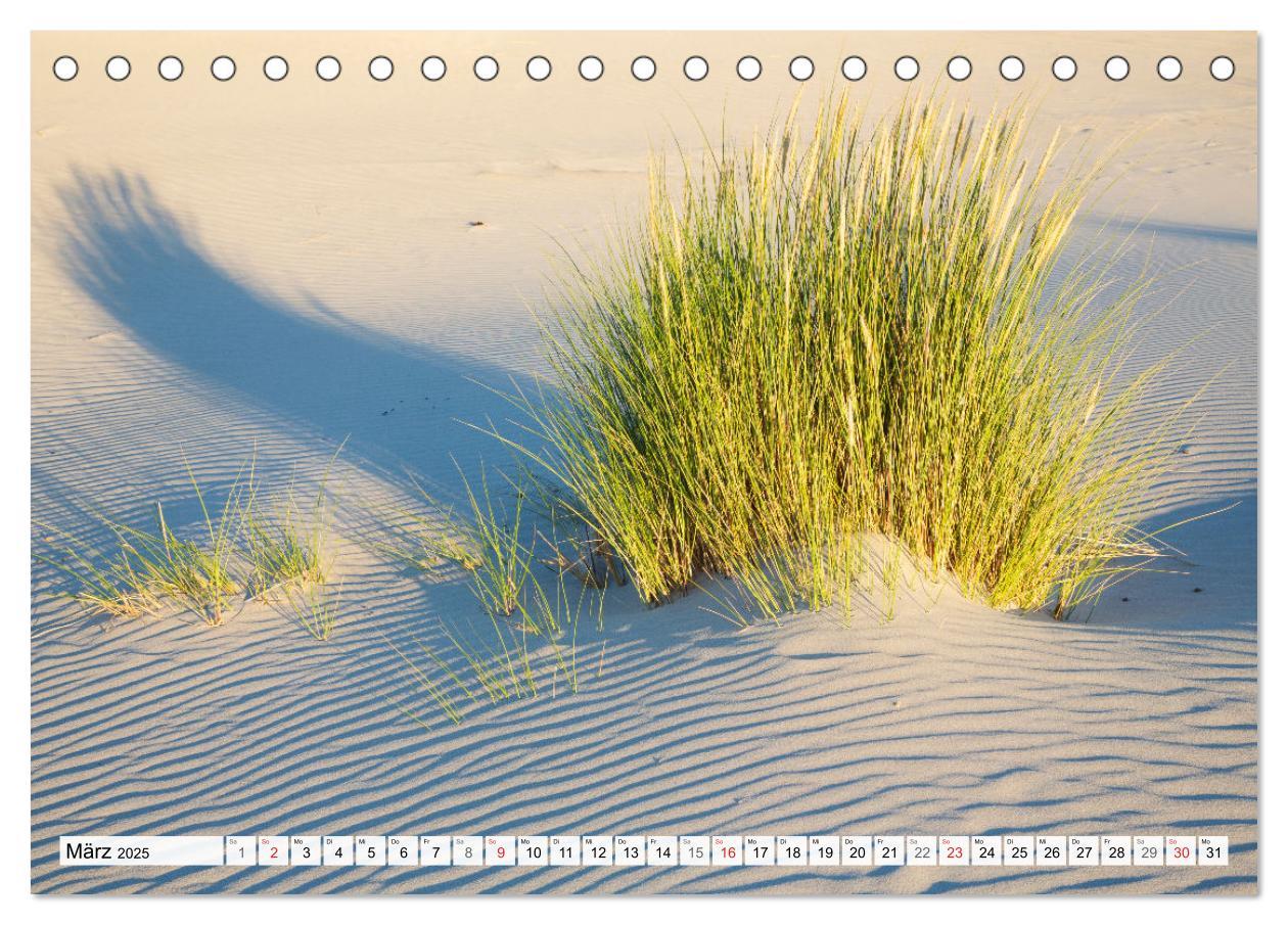 Bild: 9783435618019 | Amrum. Natur und Landschaften (Tischkalender 2025 DIN A5 quer),...