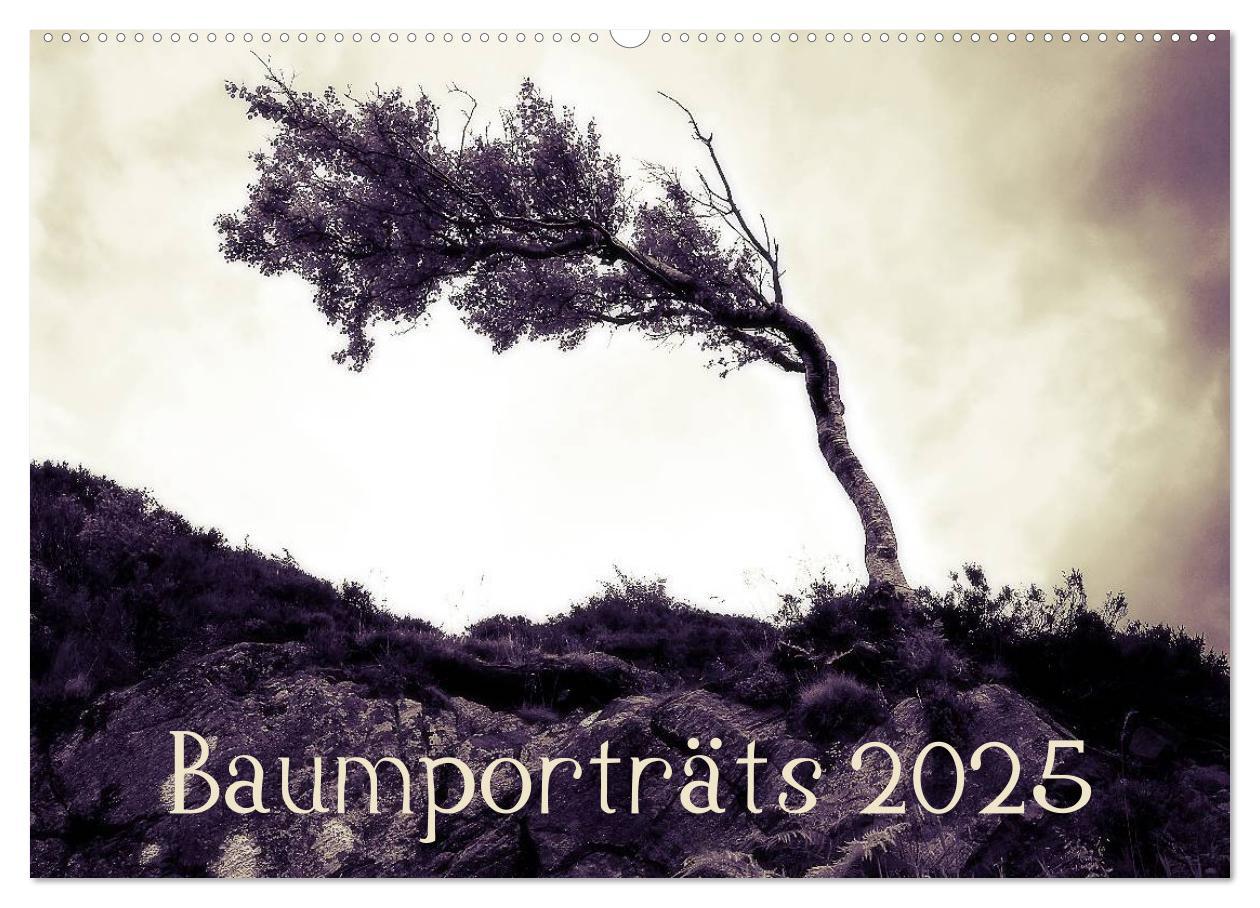 Cover: 9783435792078 | Baumporträts 2025 (Wandkalender 2025 DIN A2 quer), CALVENDO...