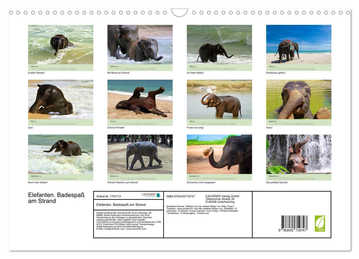 Bild: 9783435719747 | Elefanten. Badespaß am Strand (Wandkalender 2025 DIN A3 quer),...