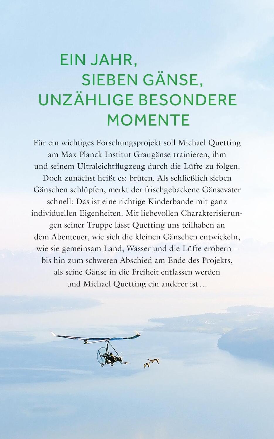 Bild: 9783453280915 | Plötzlich Gänsevater | Michael Quetting | Buch | Deutsch | 2017