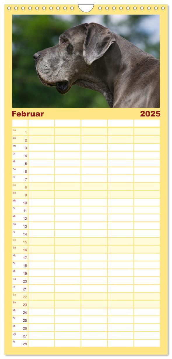 Bild: 9783457113523 | Familienplaner 2025 - Deutsche Dogge mit 5 Spalten (Wandkalender,...