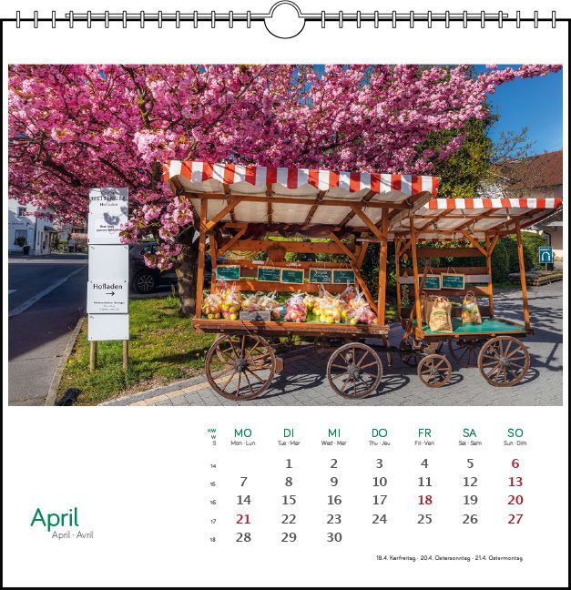 Bild: 9783861924111 | Östlicher Bodensee 2025 | Postkarten-Tischkalender | Fotografen | 2025