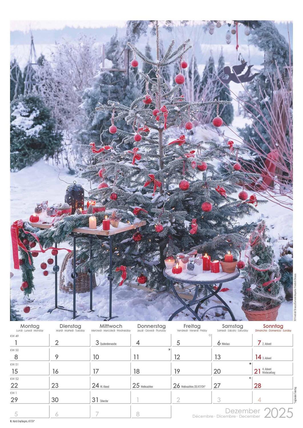 Bild: 4251732342005 | Traumgärten 2025 - Bildkalender A3 (29,7x42 cm) - Beautiful Gardens...