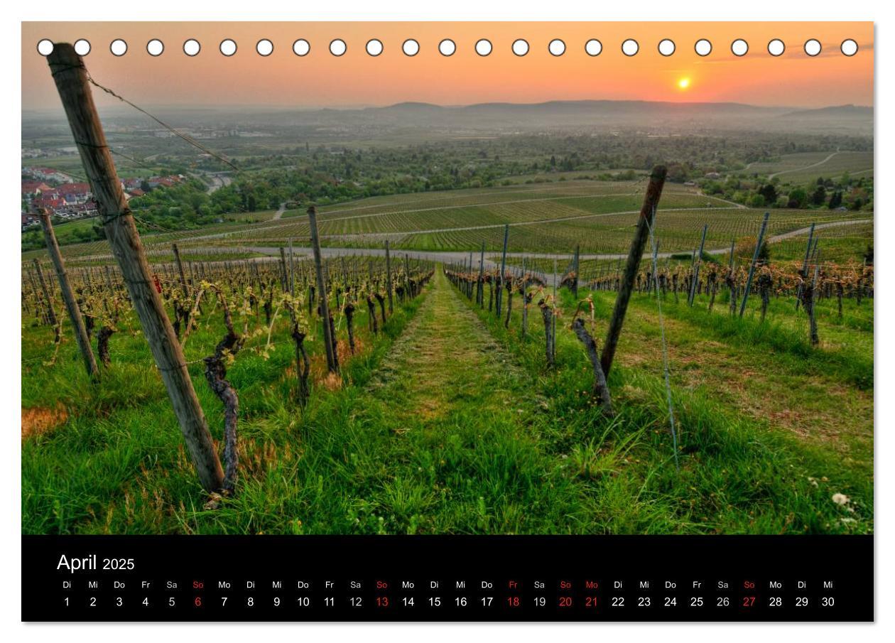 Bild: 9783435718405 | Weinberge im Remstal (Tischkalender 2025 DIN A5 quer), CALVENDO...