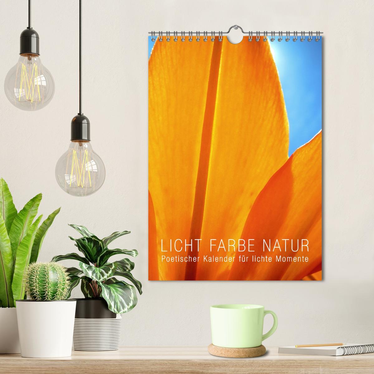 Bild: 9783435912551 | Licht Farbe Natur (Wandkalender 2025 DIN A4 hoch), CALVENDO...