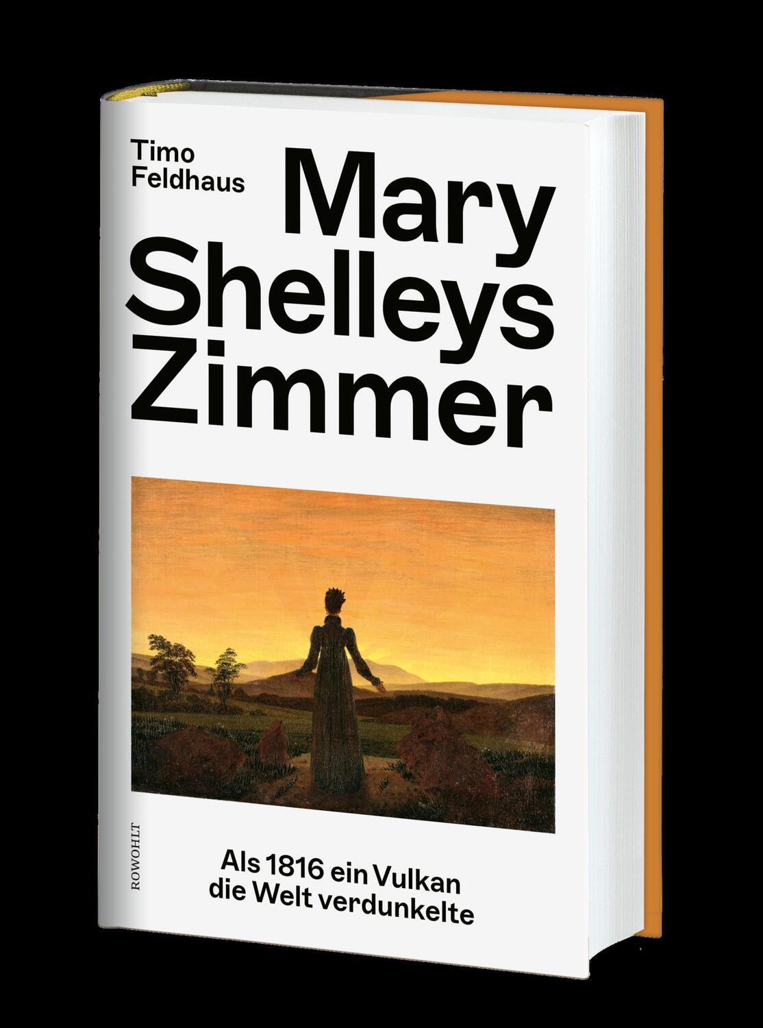 Bild: 9783498002367 | Mary Shelleys Zimmer | Als 1816 ein Vulkan die Welt verdunkelte | Buch