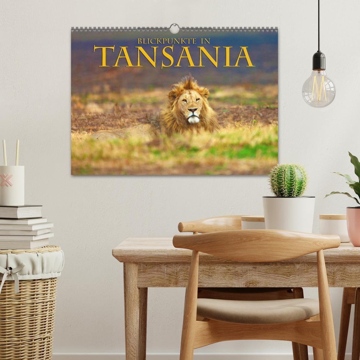 Bild: 9783435354191 | Blickpunkte Tansanias (Wandkalender 2025 DIN A3 quer), CALVENDO...