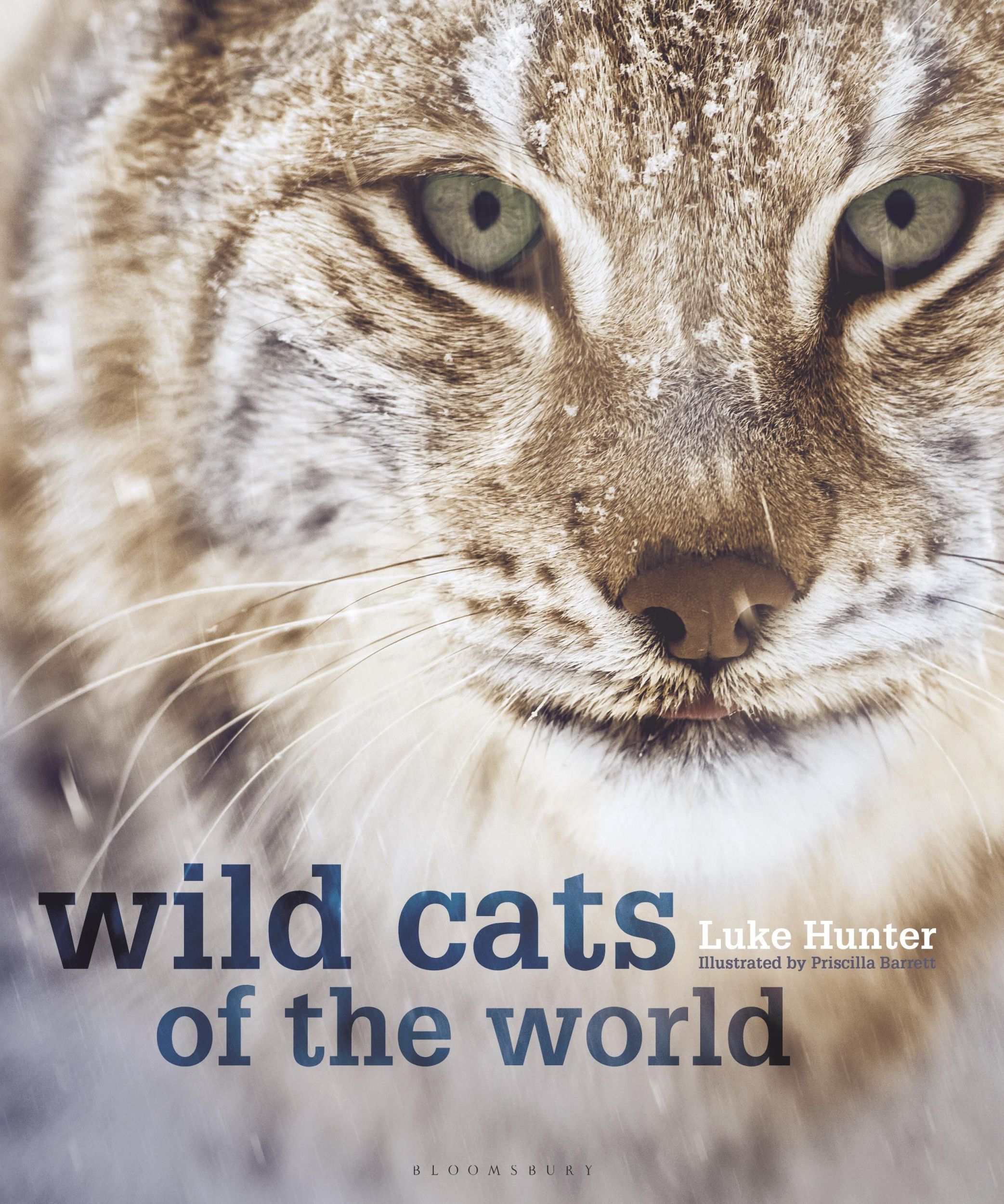 Cover: 9781472968265 | Wild Cats of the World | Luke Hunter | Buch | Gebunden | Englisch