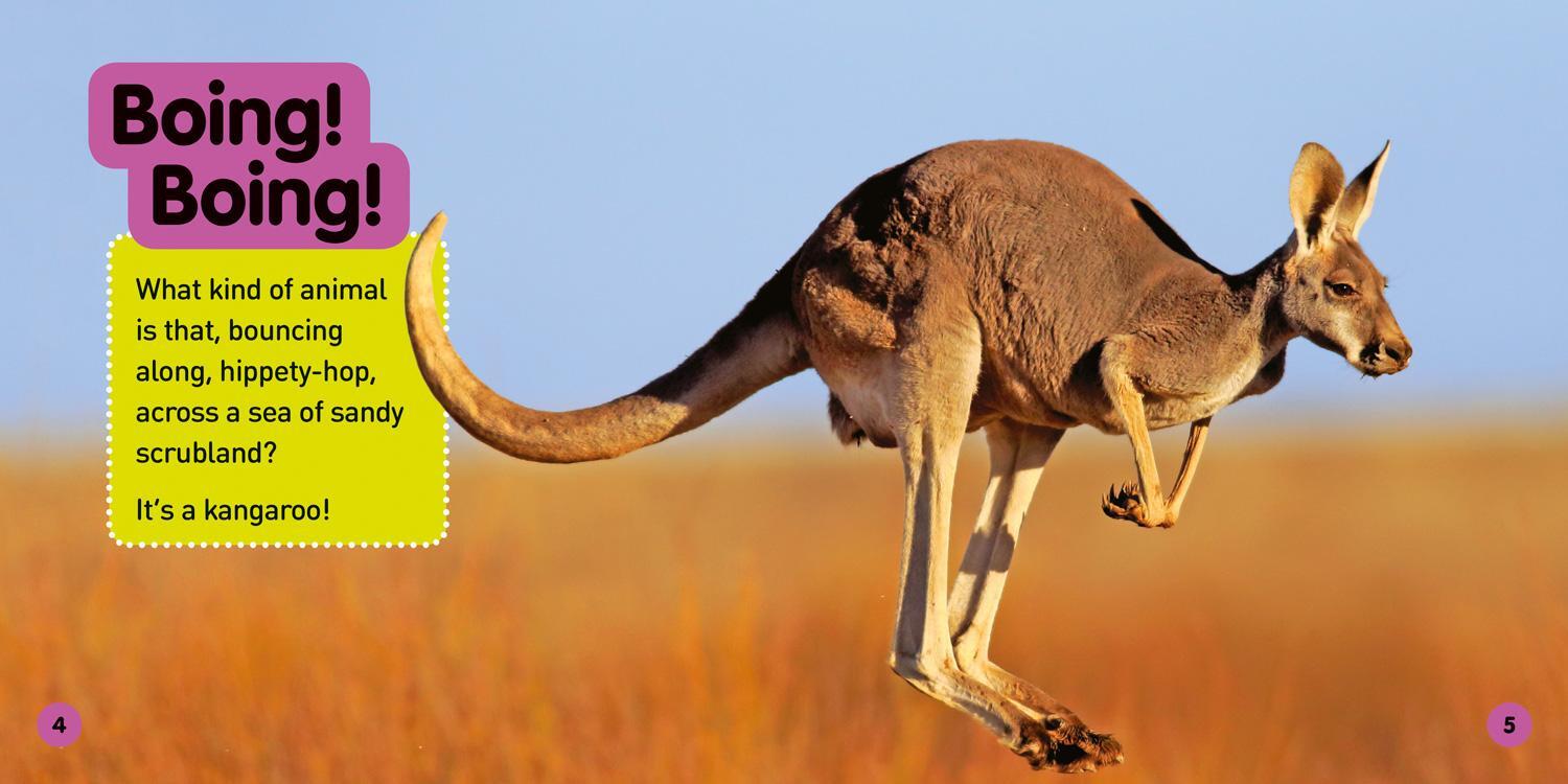 Bild: 9781426331572 | Explore My World: Kangaroos | Jill Esbaum | Taschenbuch | Englisch