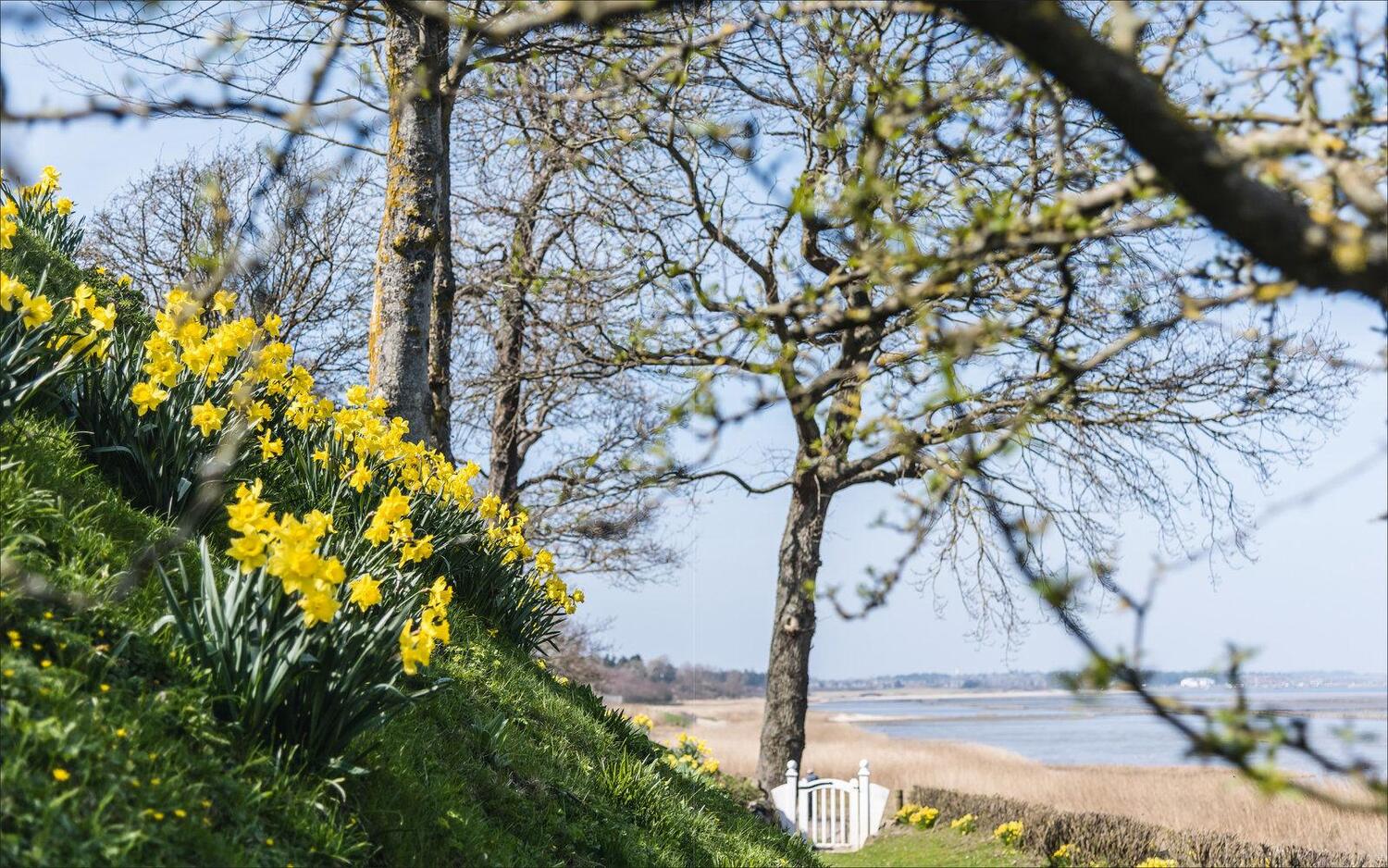 Bild: 9783791385525 | Gärten auf Sylt | Verborgene Paradiese des Nordens | Ulrich Timm