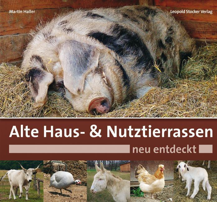 Cover: 9783702015121 | Alte Haus- &amp; Nutztierrassen neu entdeckt | Martin Haller | Buch | 2015