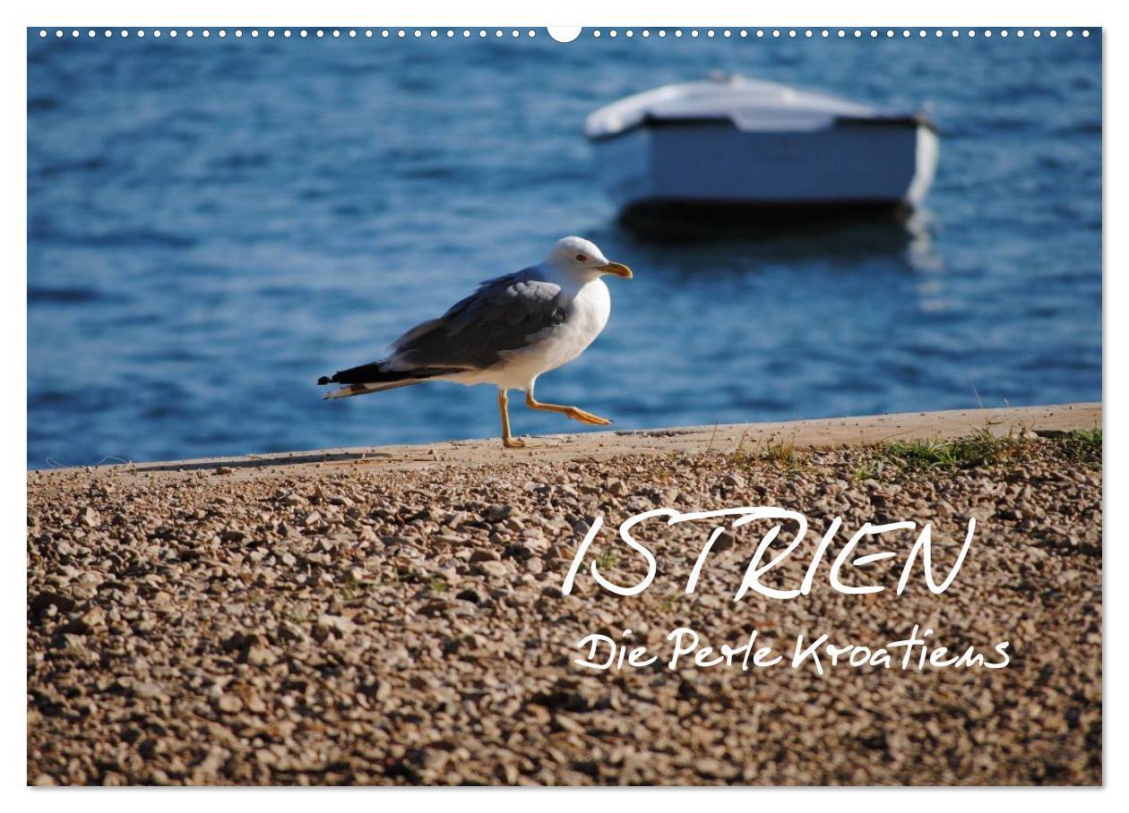 Cover: 9783435814169 | ISTRIEN - Die Perle Kroatiens (Wandkalender 2025 DIN A2 quer),...