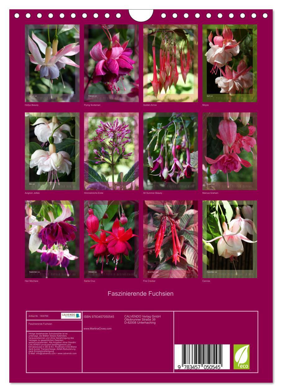 Bild: 9783457050545 | Faszinierende Fuchsien (Wandkalender 2025 DIN A4 hoch), CALVENDO...