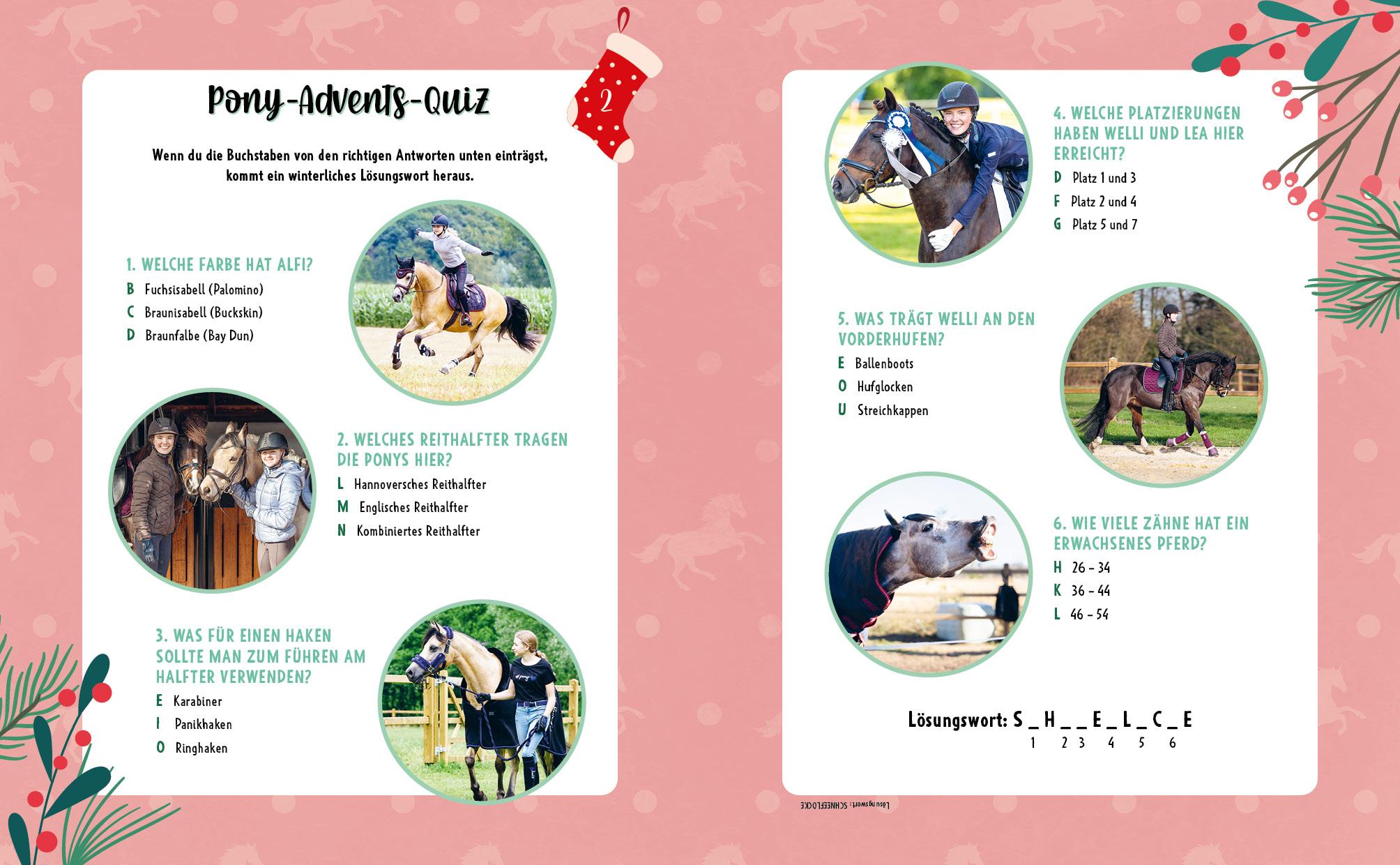 Bild: 9783745912777 | # ponylife - Mein Adventskalenderbuch - Von Lia und Lea | Buch | 2023