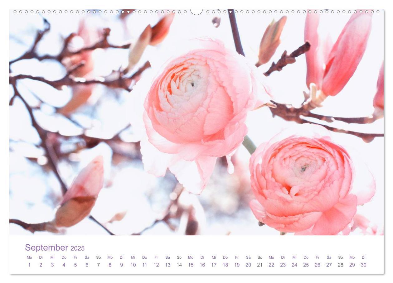 Bild: 9783435804993 | Blumen &amp; Blüten Träume (hochwertiger Premium Wandkalender 2025 DIN...