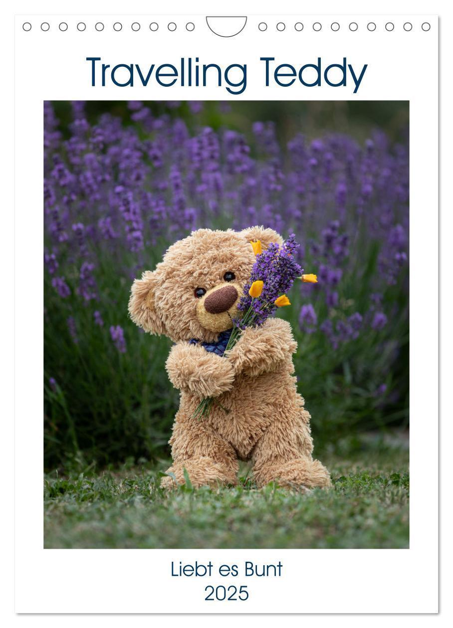 Cover: 9783435897148 | Travelling Teddy liebt es Bunt (Wandkalender 2025 DIN A4 hoch),...