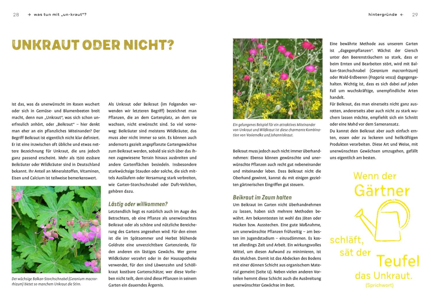 Bild: 9783818615048 | Gartenabfall gibt's nicht | Renate Hudak (u. a.) | Taschenbuch | 2022