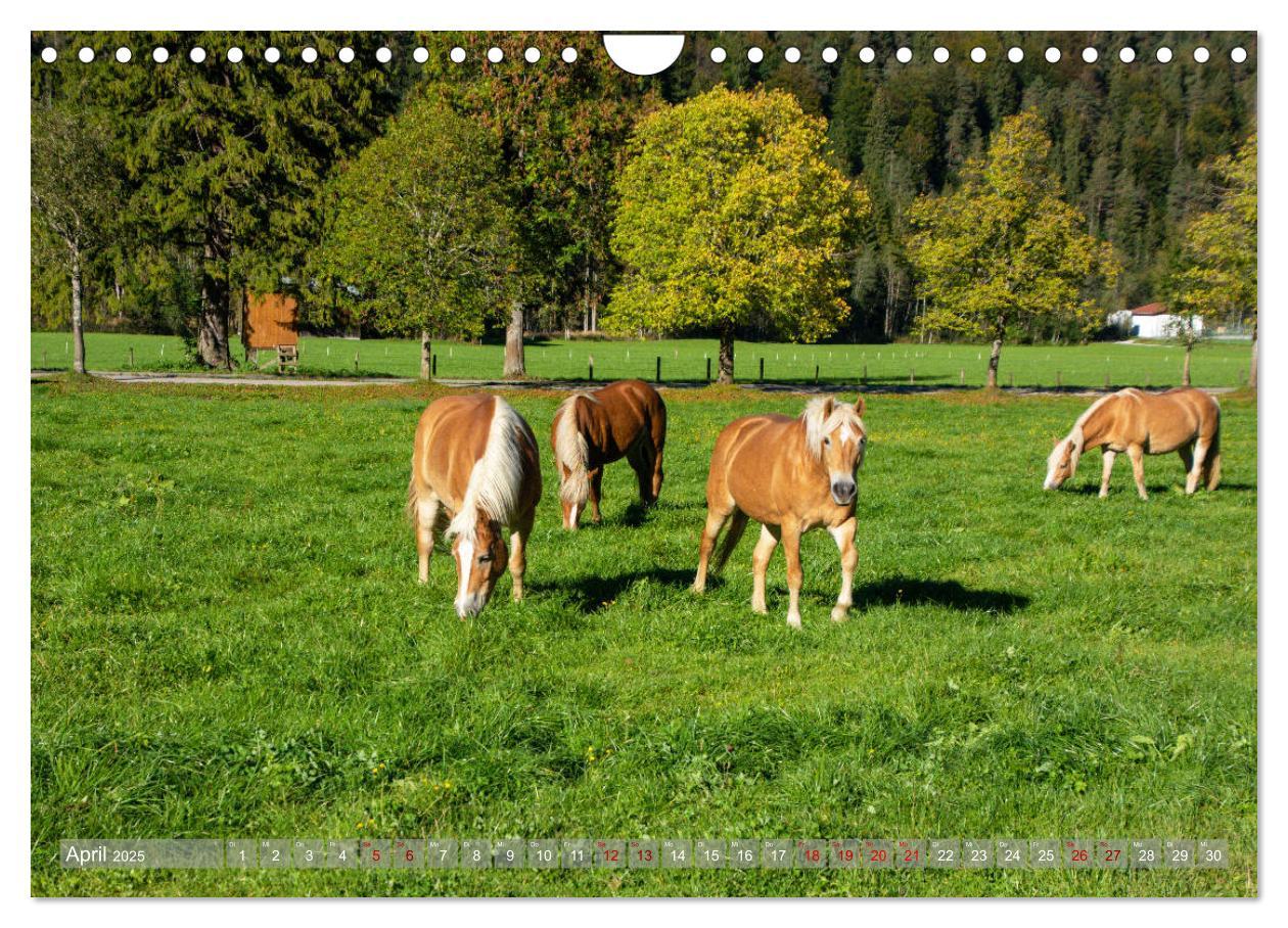 Bild: 9783435228317 | Achensee - im Herzen der Tiroler Alpen (Wandkalender 2025 DIN A4...