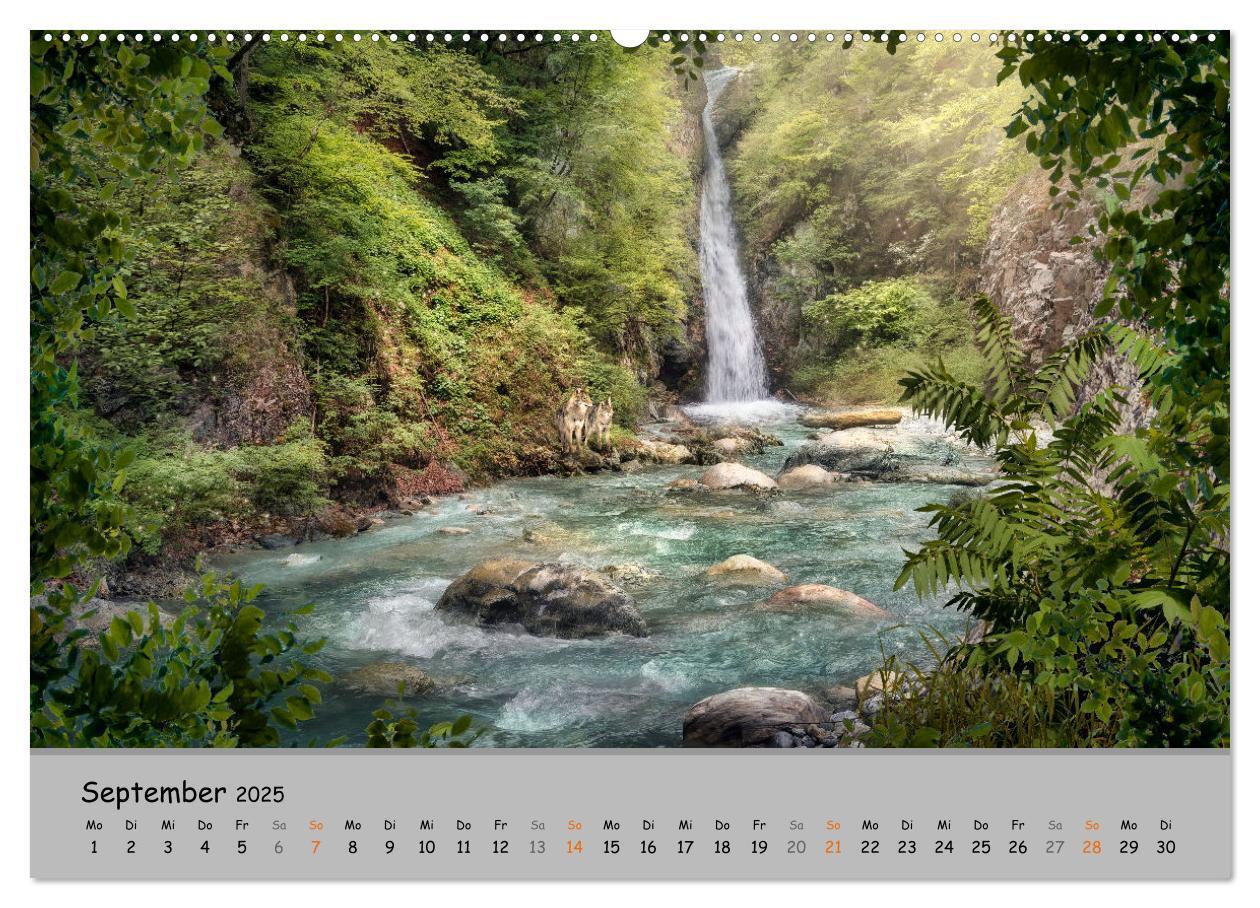 Bild: 9783435079544 | Der lange Weg der Wölfe (Wandkalender 2025 DIN A2 quer), CALVENDO...