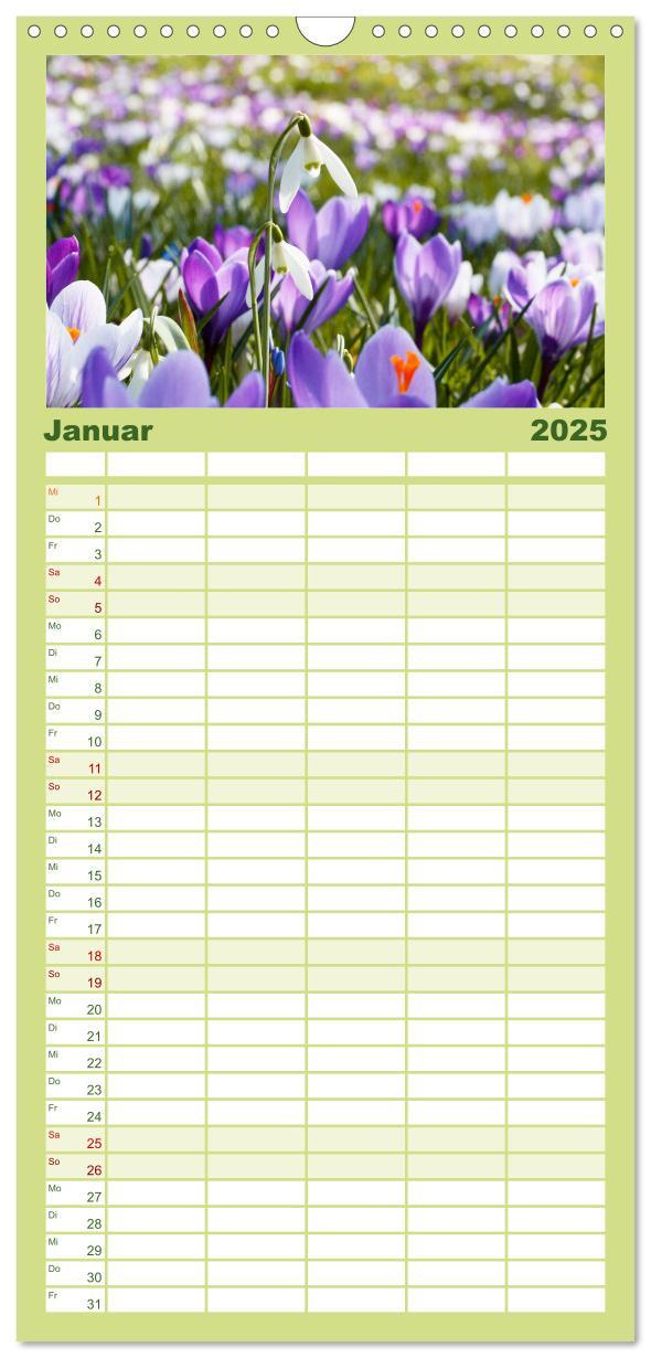 Bild: 9783457100653 | Familienplaner 2025 - Urlaub im Garten mit 5 Spalten (Wandkalender,...