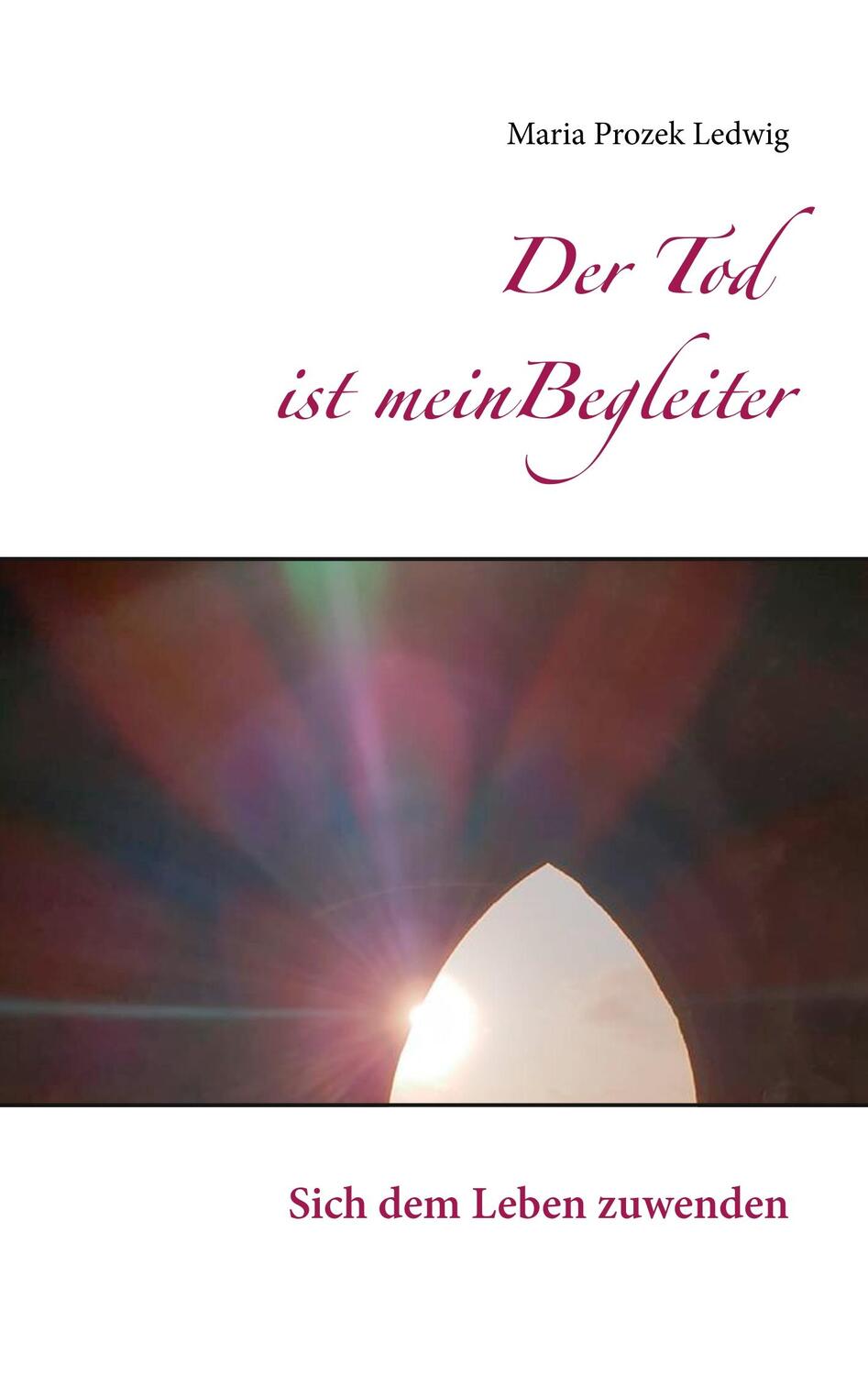 Cover: 9783751935319 | Der Tod ist mein Begleiter | Sich dem Leben zuwenden | Ledwig | Buch