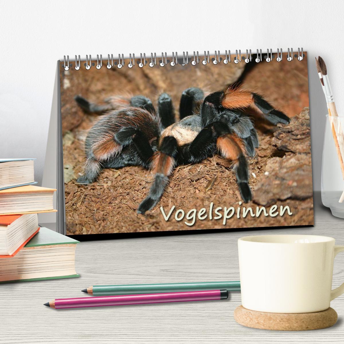 Bild: 9783435628926 | Vogelspinnen (Tischkalender 2025 DIN A5 quer), CALVENDO Monatskalender