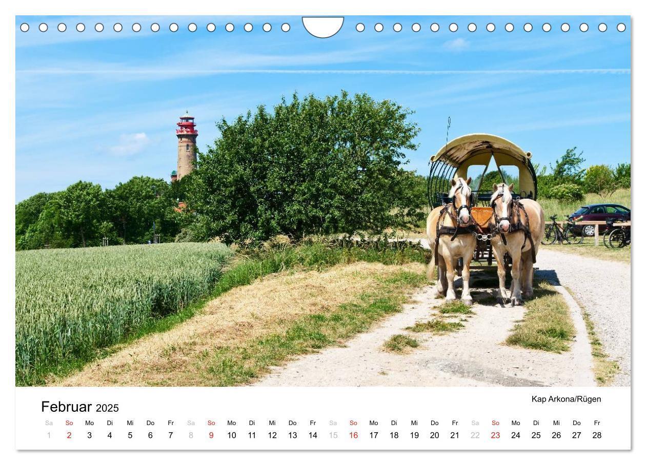 Bild: 9783435693924 | Rügen und Hiddensee (Wandkalender 2025 DIN A4 quer), CALVENDO...