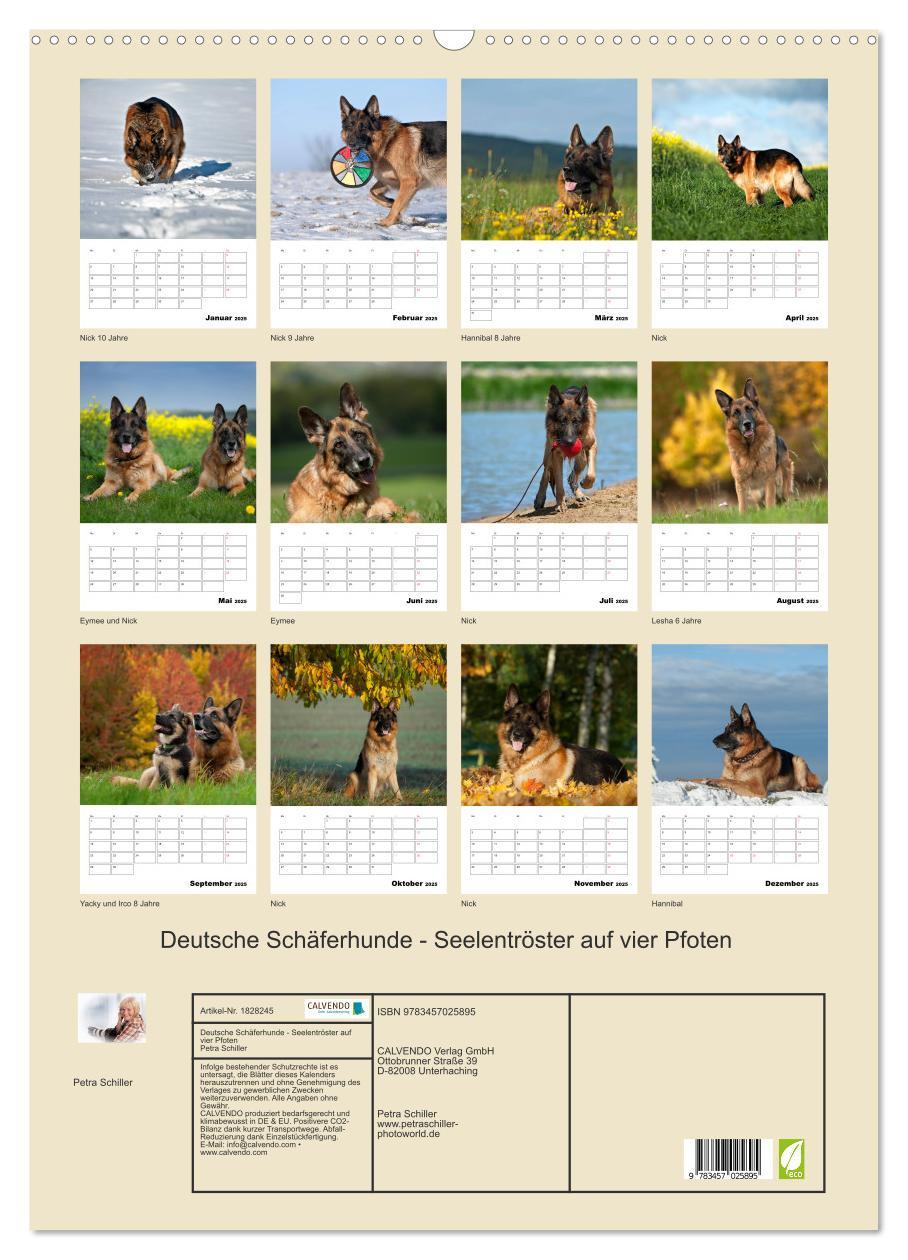 Bild: 9783457025895 | Deutsche Schäferhunde - Seelentröster auf vier Pfoten (Wandkalender...