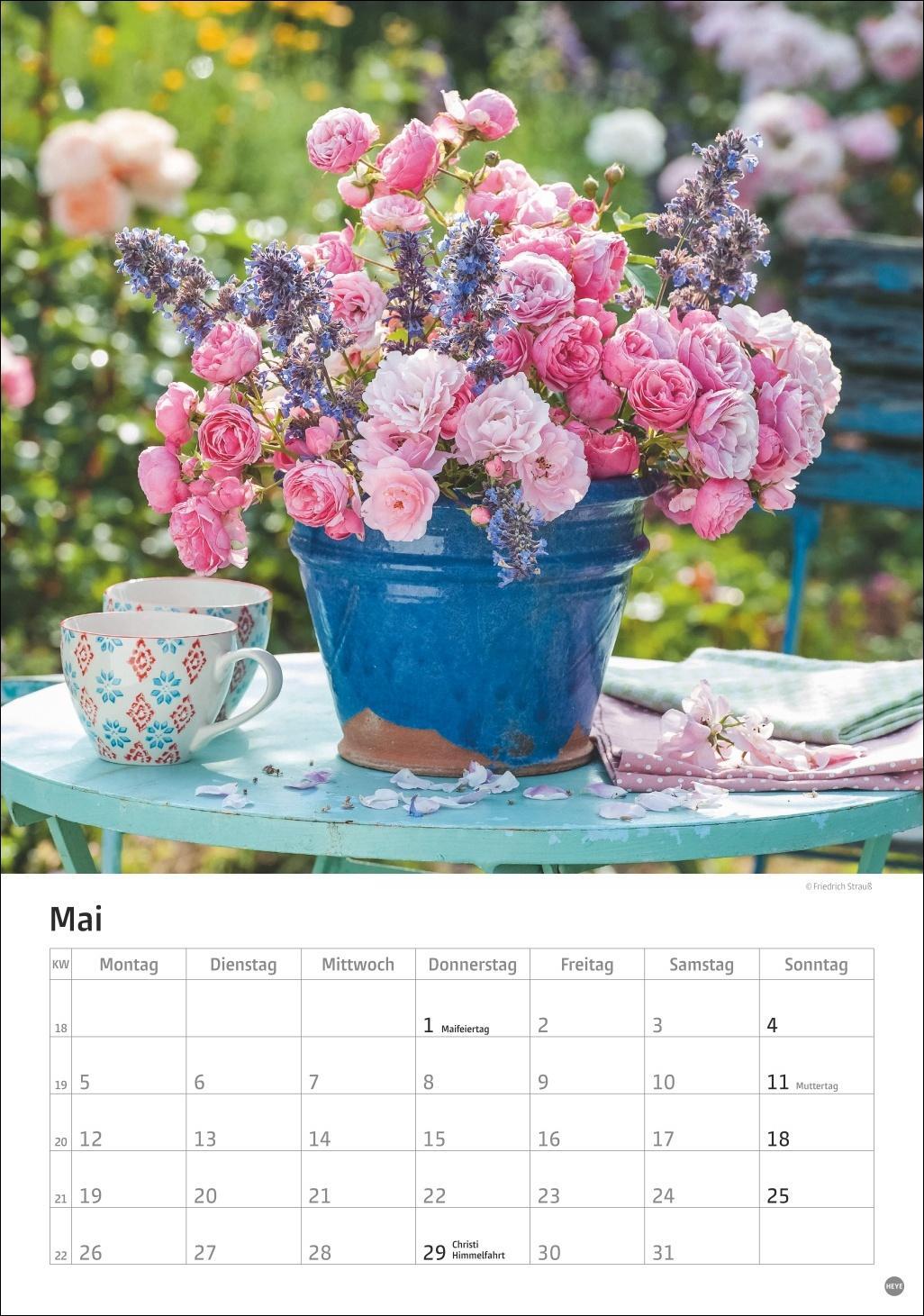 Bild: 9783756405596 | Rosenpracht Kalender 2025 | Heye | Kalender | Spiralbindung | 13 S.