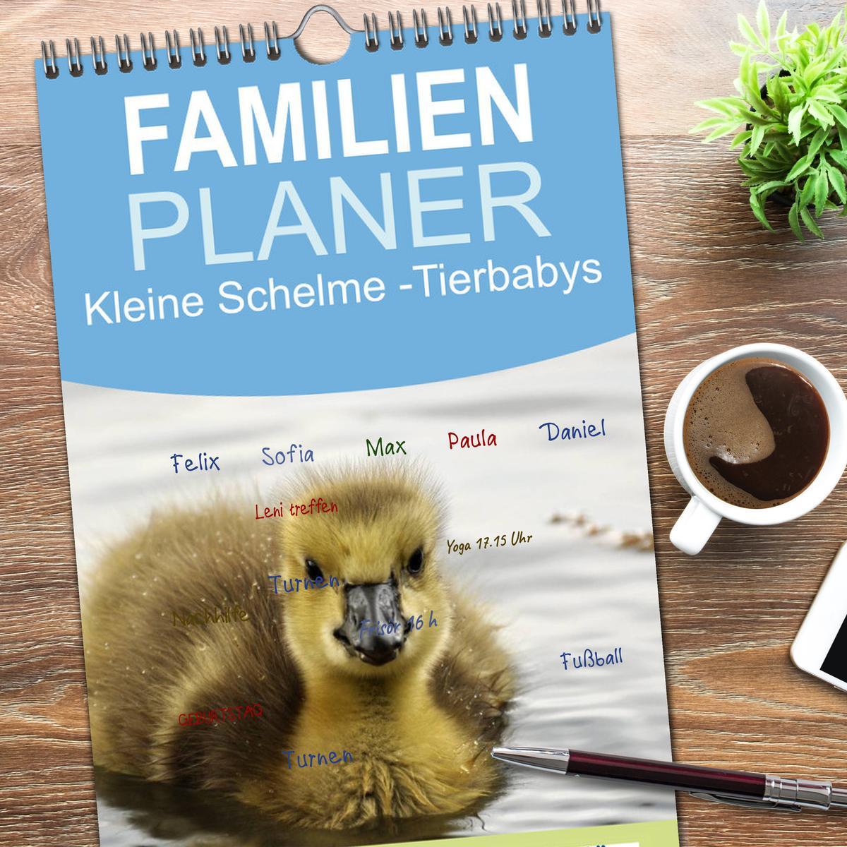 Bild: 9783457111208 | Familienplaner 2025 - Kleine Schelme - Tierbabys mit 5 Spalten...