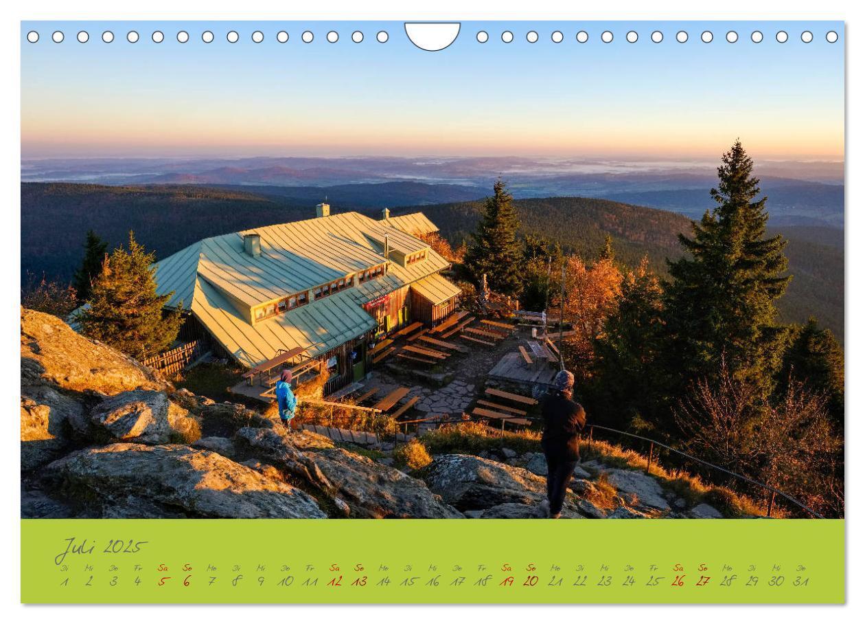 Bild: 9783435194247 | Der Bayerische Wald (Wandkalender 2025 DIN A4 quer), CALVENDO...