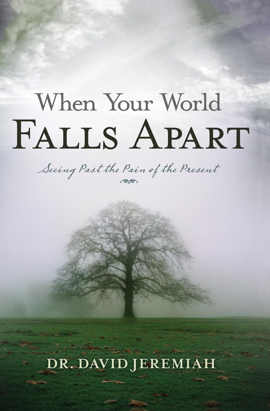 Cover: 9780849904363 | When Your World Falls Apart | See Past the Pain of the Present | Buch