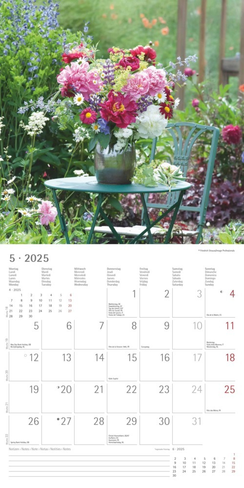 Bild: 4251732340636 | Alpha Edition - Garden &amp; Decoration 2025 Broschürenkalender,...