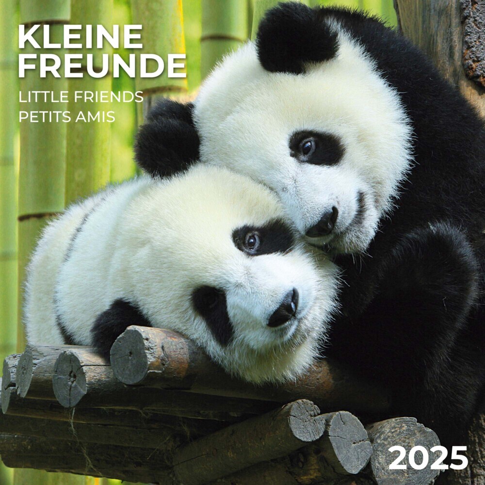 Cover: 9783959294539 | Little Friends/Kleine Freunde 2025 | Kalender 2025 | Kalender | 28 S.