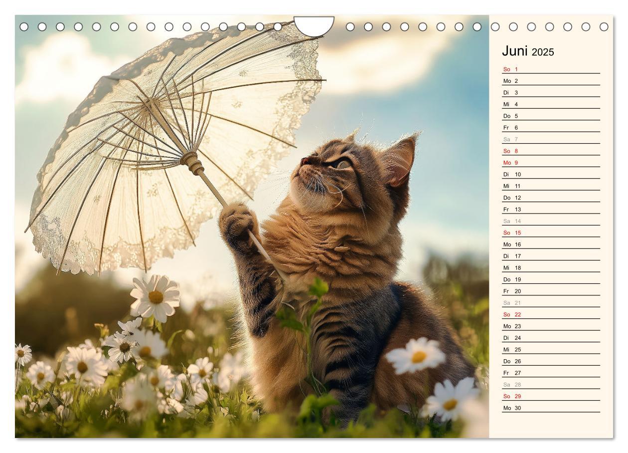 Bild: 9783457179789 | Katzen schaffen Kunst (Wandkalender 2025 DIN A4 quer), CALVENDO...