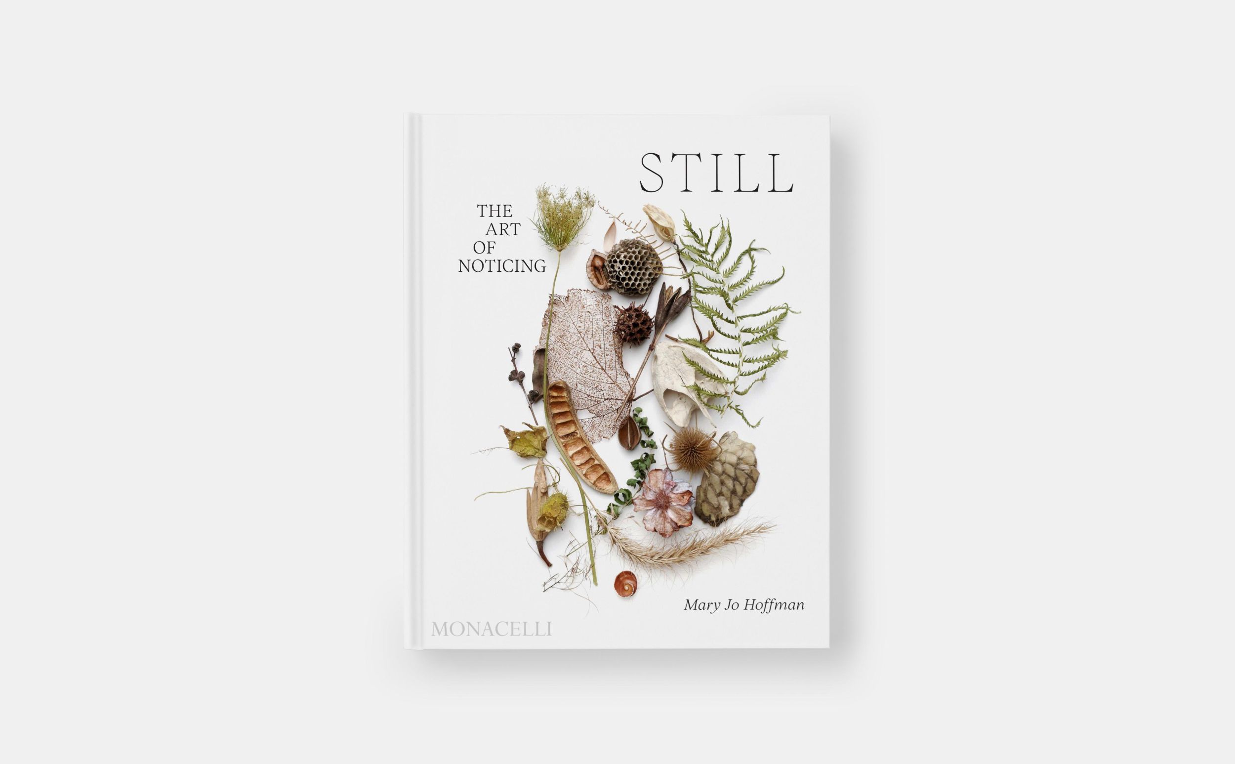 Bild: 9781580936330 | STILL | The Art of Noticing | Mary Jo Hoffman | Buch | 318 S. | 2024