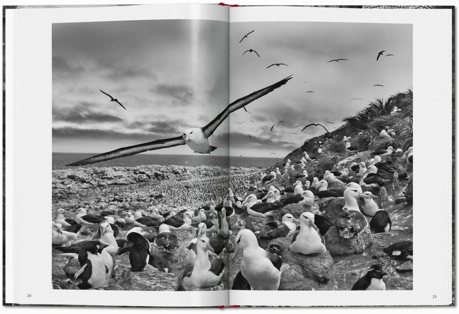 Bild: 9783836594585 | Sebastião Salgado. Génesis | TASCHEN | Buch | 192 S. | Spanisch | 2024