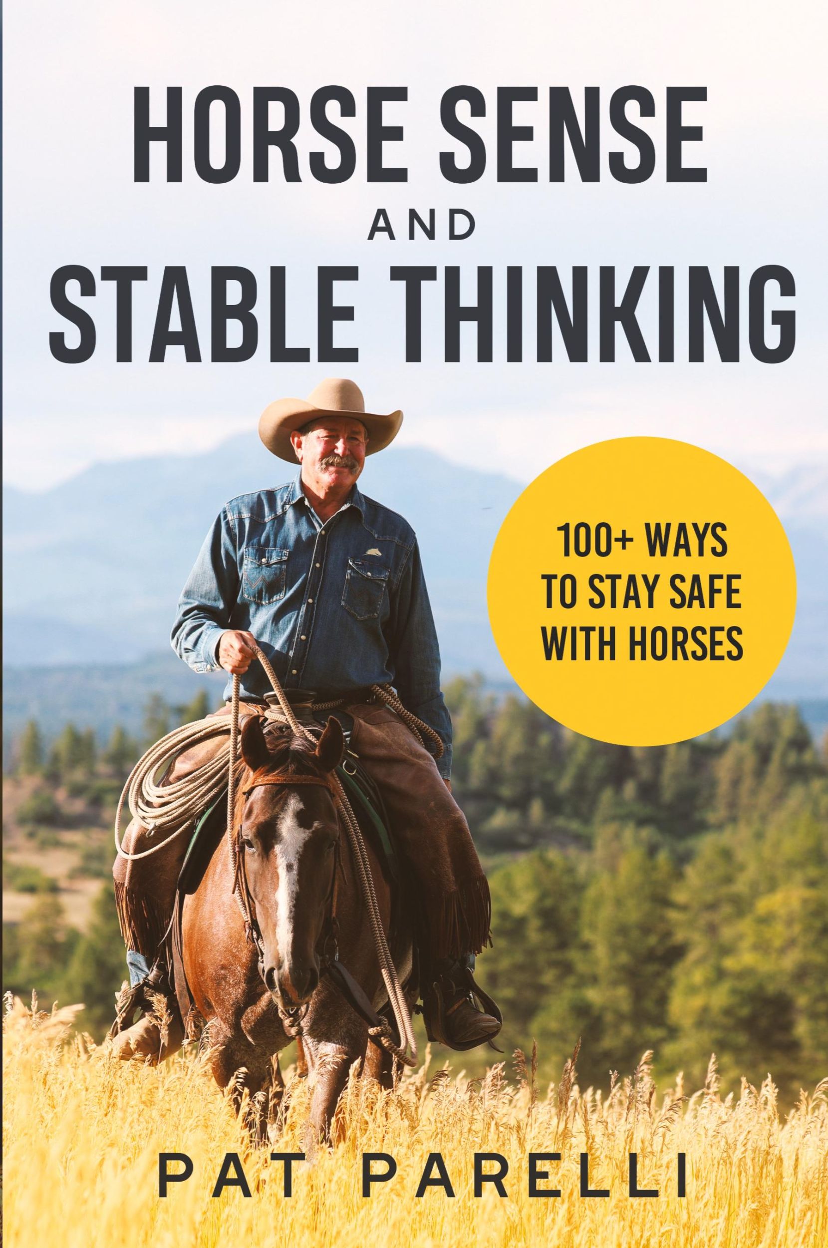 Cover: 9780578997650 | Horse Sense and Stable Thinking | 100+ Ways to Stay Safe With Horses