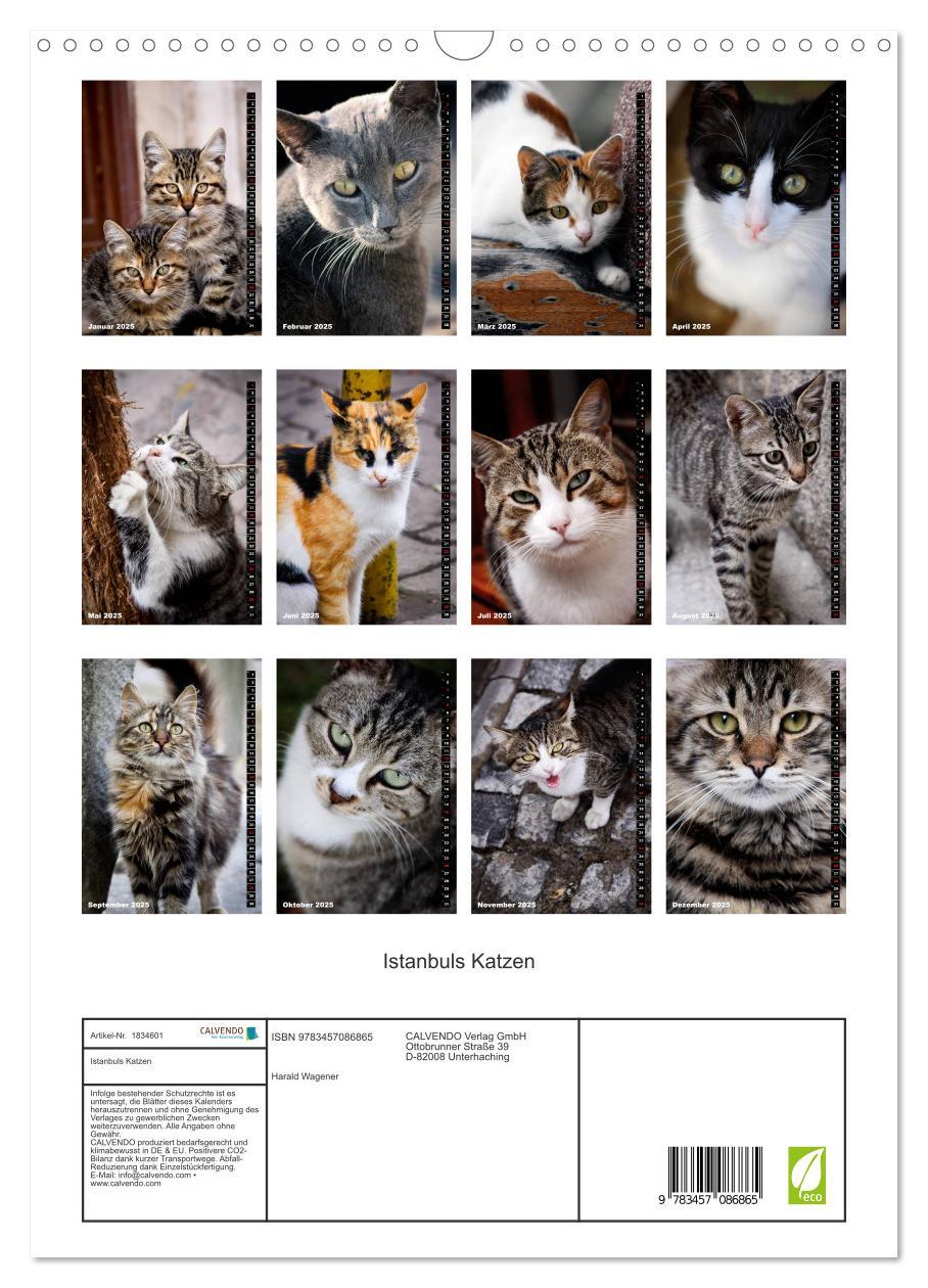 Bild: 9783457086865 | Istanbuls Katzen (Wandkalender 2025 DIN A3 hoch), CALVENDO...