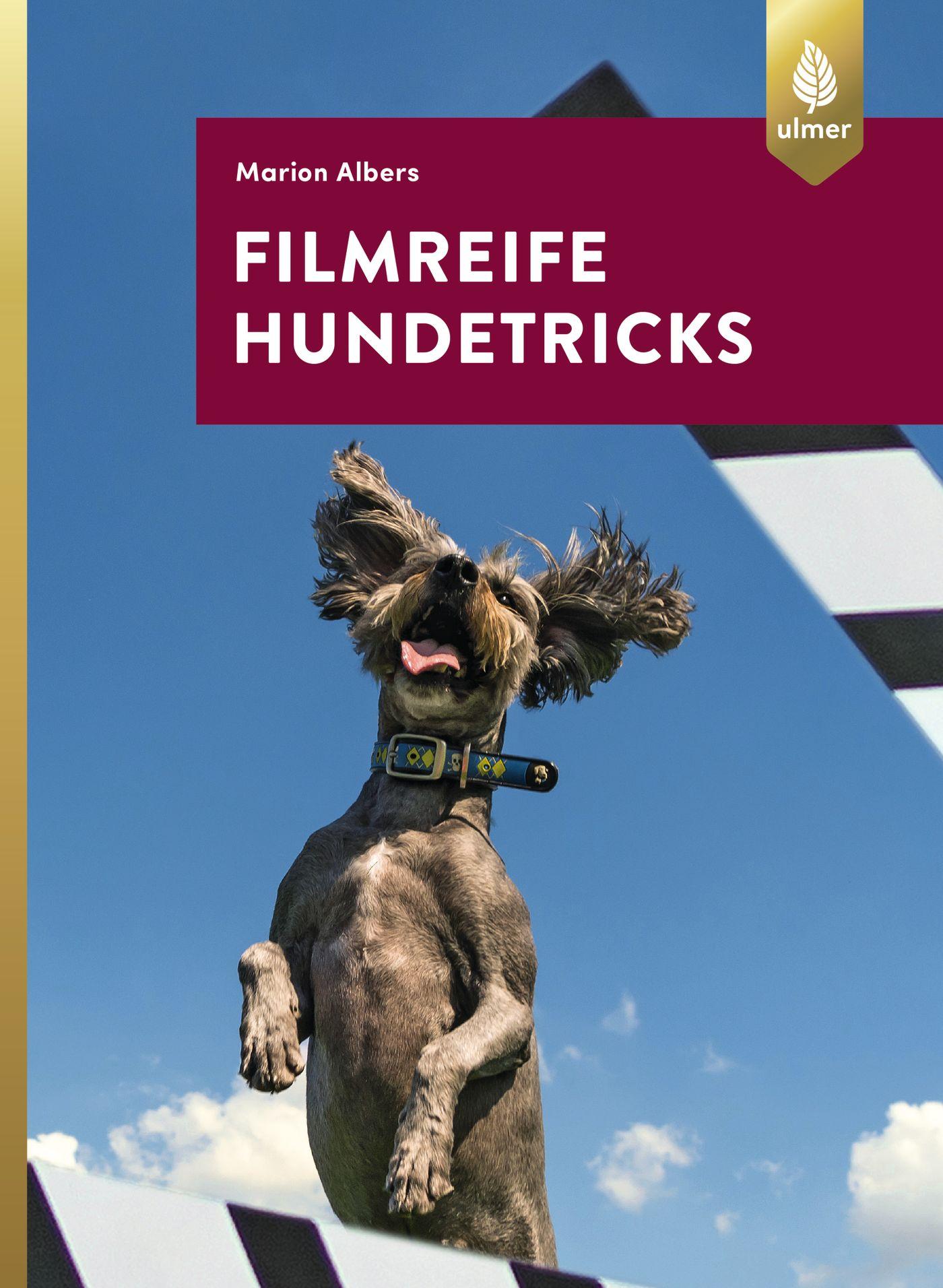 Cover: 9783818603434 | Filmreife Hundetricks | Marion Albers | Taschenbuch | 96 S. | Deutsch