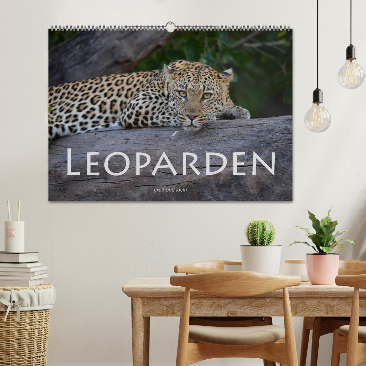 Bild: 9783435365296 | Leoparden - groß und klein (Wandkalender 2025 DIN A2 quer),...