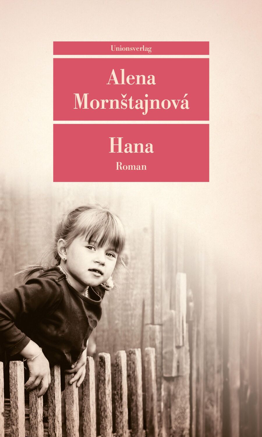 Cover: 9783293209237 | Hana | Roman | Alena Mornstajnová | Taschenbuch | 352 S. | Deutsch