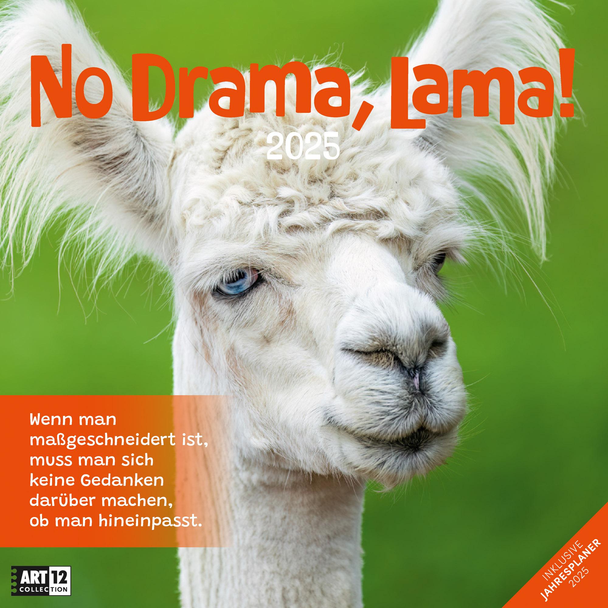 Cover: 9783838445274 | No Drama, Lama! Kalender 2025 | Ackermann Kunstverlag | Kalender