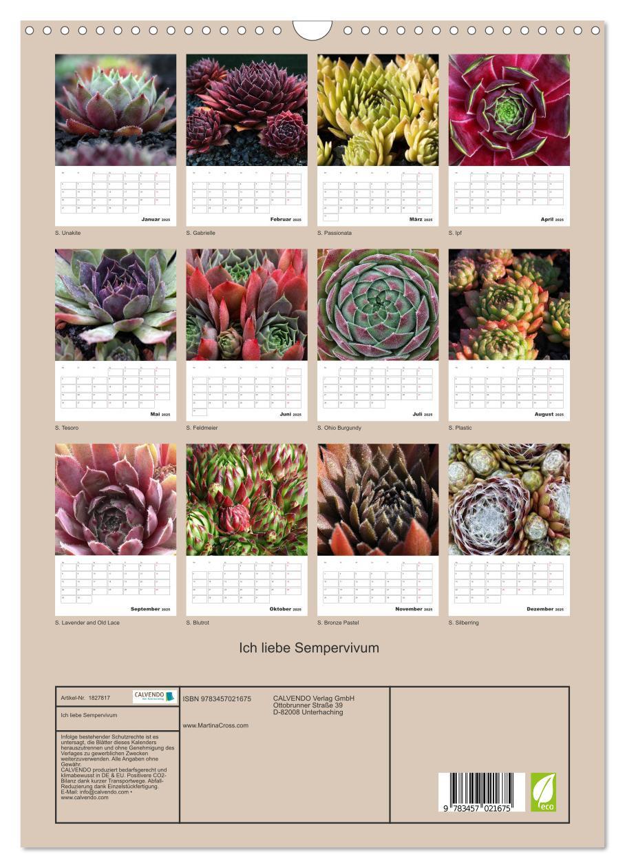 Bild: 9783457021675 | Ich liebe Sempervivum (Wandkalender 2025 DIN A3 hoch), CALVENDO...