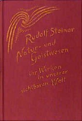 Cover: 9783727409806 | Natur- und Geistwesen - ihr Wirken in unserer sichtbaren Welt | Buch