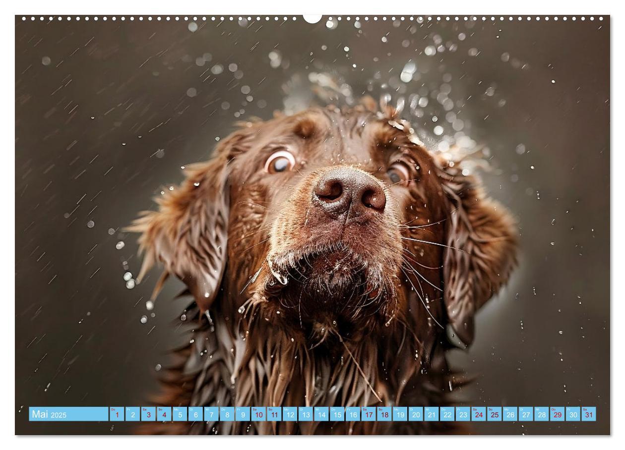 Bild: 9783457129241 | Hunde und Wasser (Wandkalender 2025 DIN A2 quer), CALVENDO...