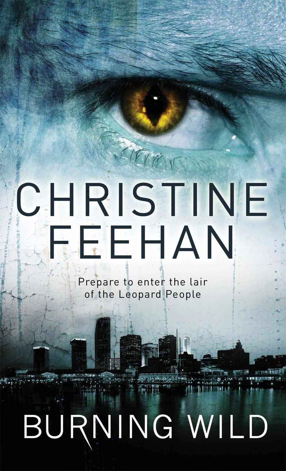 Cover: 9780749941598 | Burning Wild | Number 3 in series | Christine Feehan | Taschenbuch