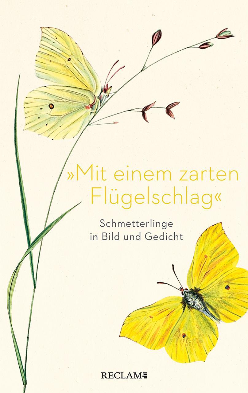 Cover: 9783150114070 | »Mit einem zarten Flügelschlag« | Schmetterlinge in Bild und Gedicht